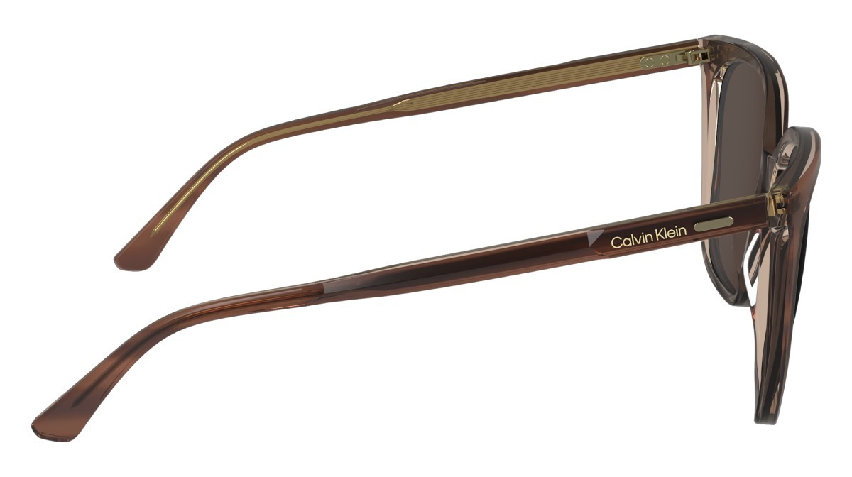 Sunglasses Calvin Klein CK24509S N (203) color striped brown/rose shape rectangle 