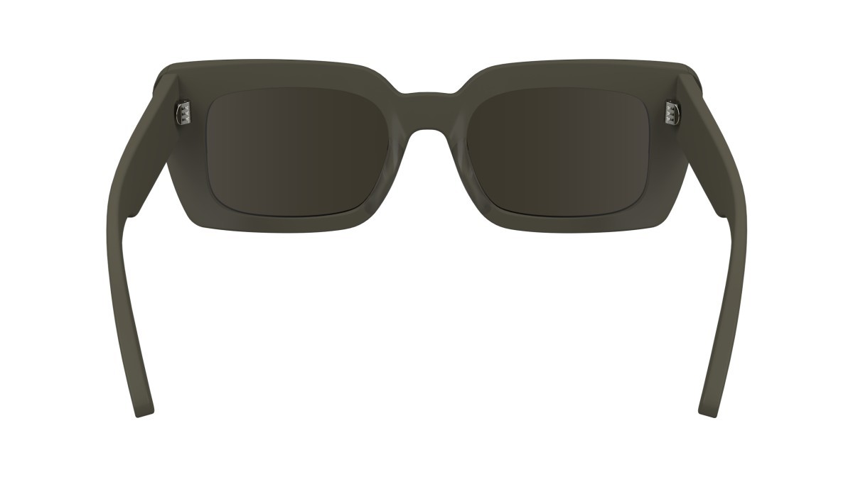 Sunglasses Calvin Klein CK24512S (260) color taupe shape butterfly lenses solid brown