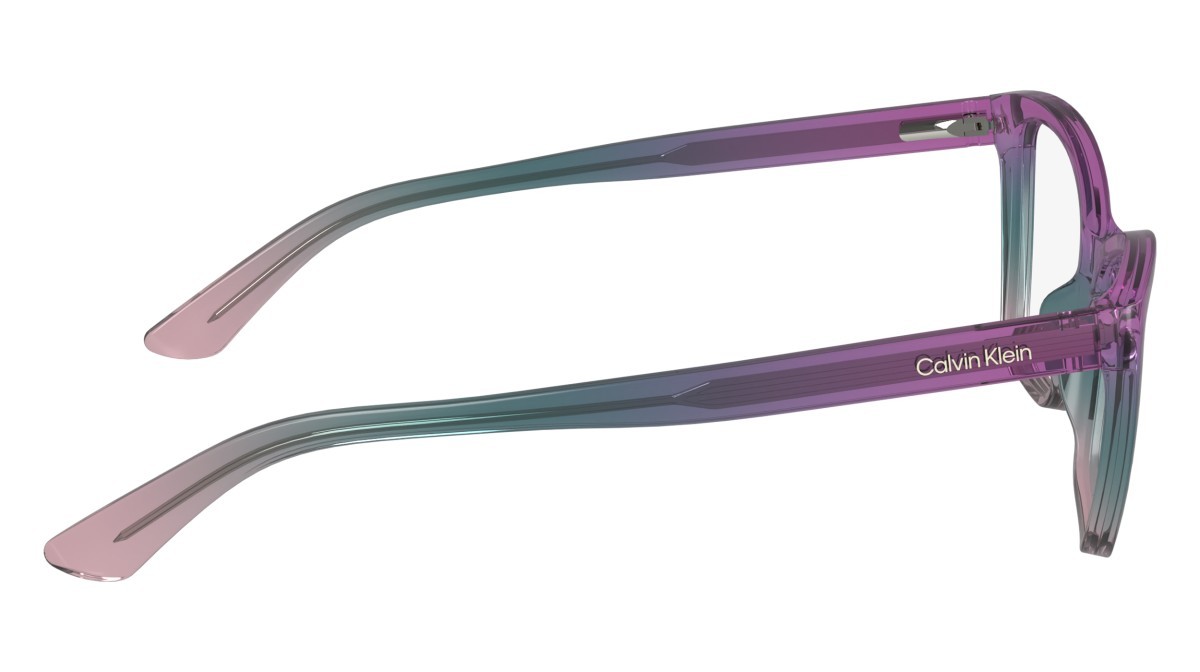Brillen Calvin Klein CK24523 (503) farbe purple/avio form schmetterling 