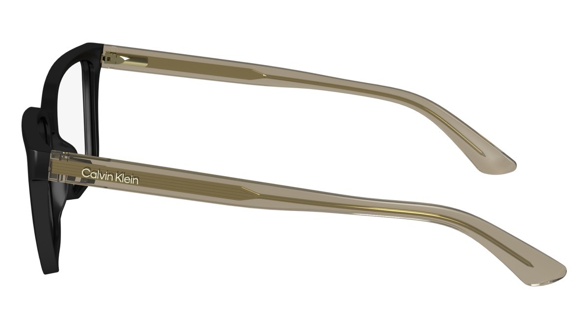 Eyeglasses Calvin Klein CK24524 (001) color black shape rectangle 