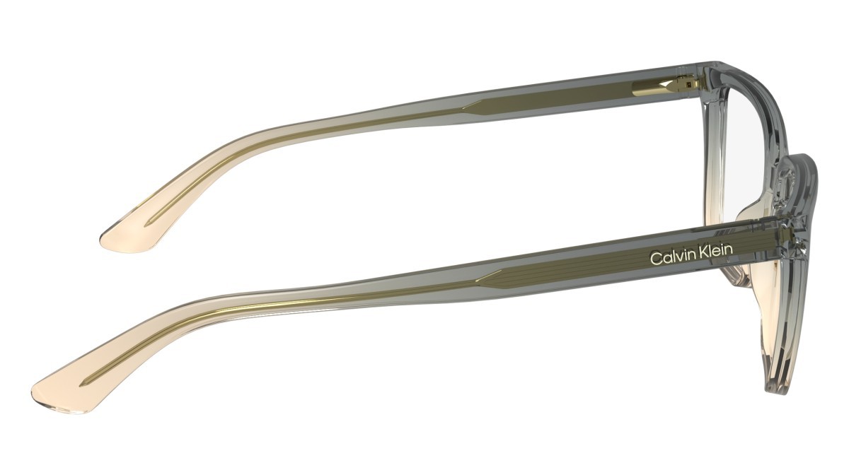 Eyeglasses Calvin Klein CK24524 (039) color grey/beige shape rectangle 