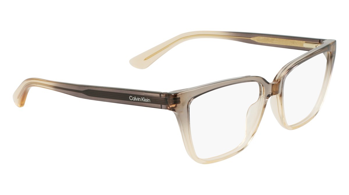 Eyeglasses Calvin Klein CK24524 N (039) color grey/beige shape rectangle 