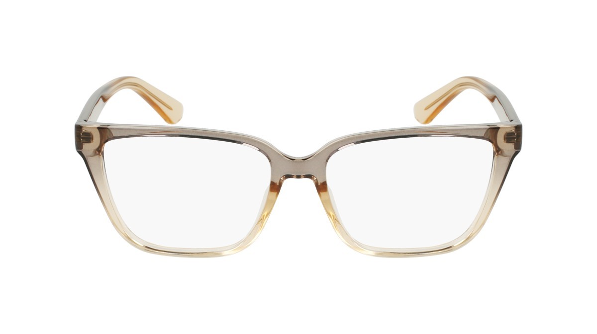 Eyeglasses Calvin Klein CK24524 N (039) color grey/beige shape rectangle 