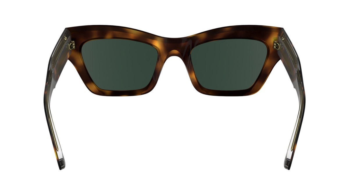 Sonnenbrillen Calvin Klein CK24531S (240) farbe havana form schmetterling gläser solid green