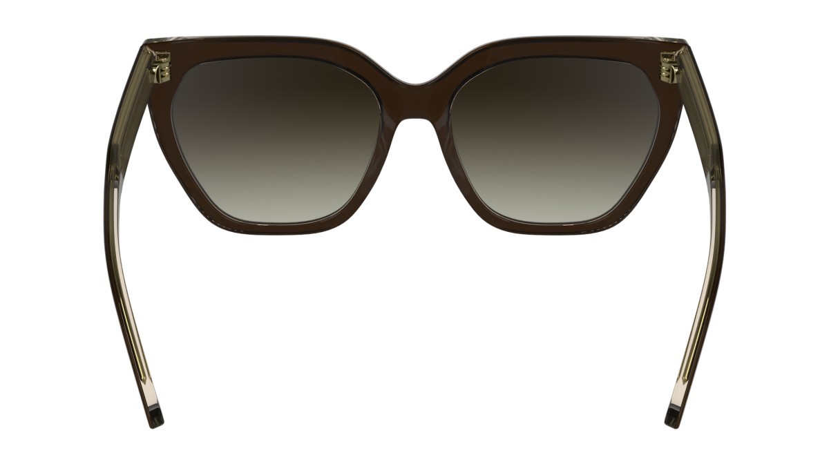 Sunglasses Calvin Klein CK24535S (226) color brown/light brown shape butterfly lenses gradient brown