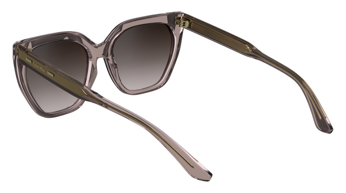 Sunglasses Calvin Klein CK24535S (272) color nude shape butterfly lenses gradient brown rose