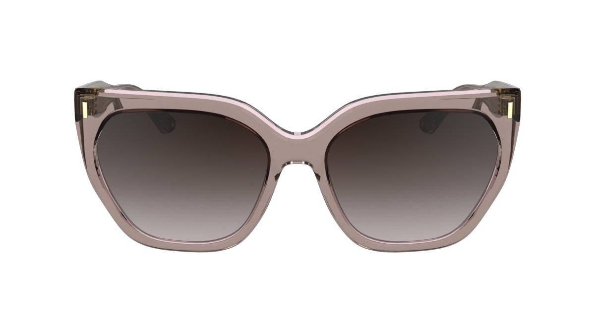 Sunglasses Calvin Klein CK24535S (272) color nude shape butterfly lenses gradient brown rose