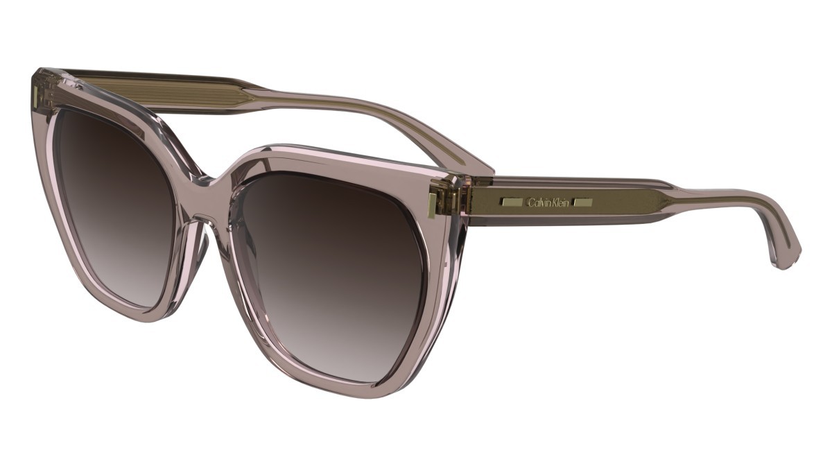 Sunglasses Calvin Klein CK24535S (272) color nude shape butterfly lenses gradient brown rose