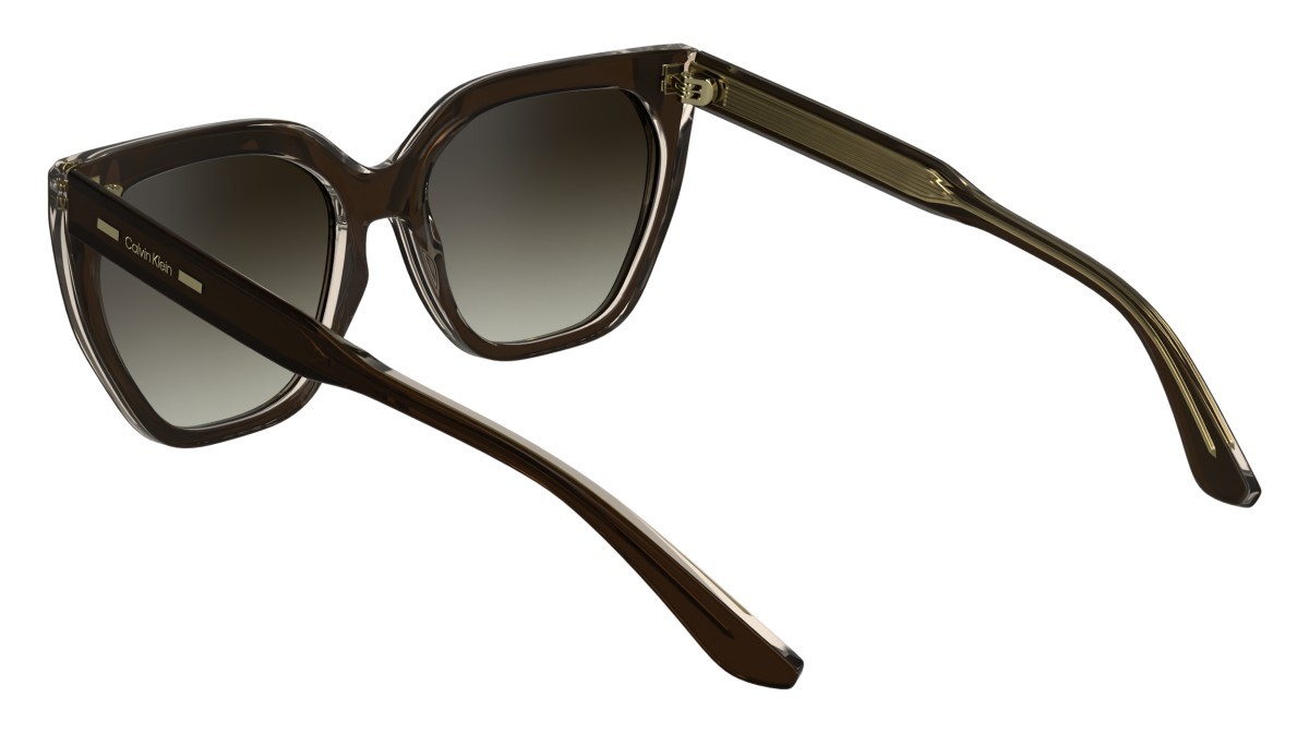 Sunglasses Calvin Klein CK24535S N (226) color brown/light brown shape butterfly 
