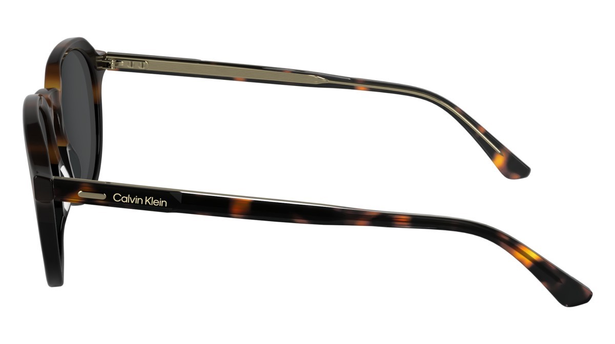 Sunglasses Calvin Klein CK24538S (233) color havana/black shape pantos lenses solid grey