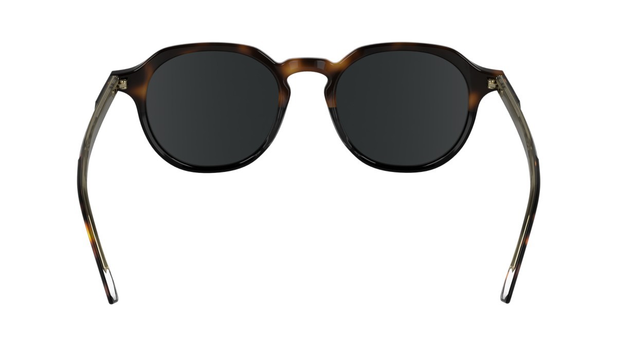 Sunglasses Calvin Klein CK24538S (233) color havana/black shape pantos lenses solid grey