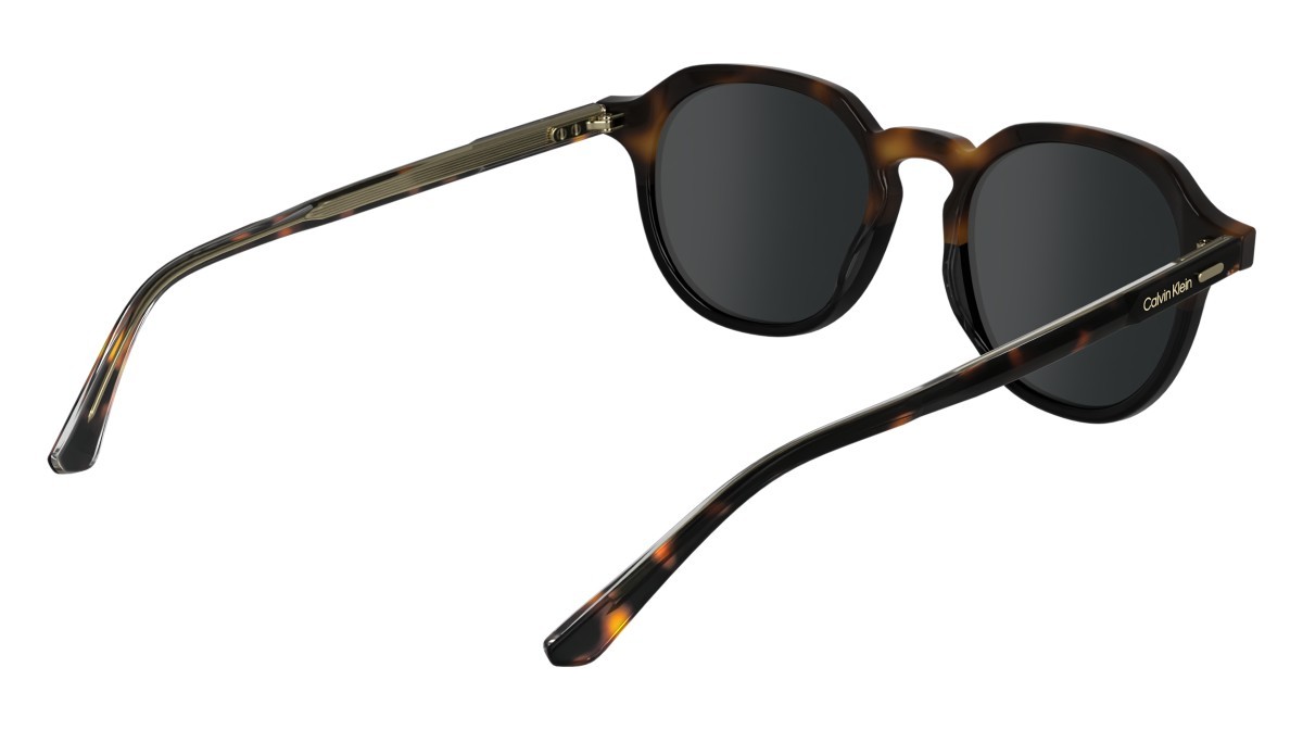 Sunglasses Calvin Klein CK24538S (233) color havana/black shape pantos lenses solid grey