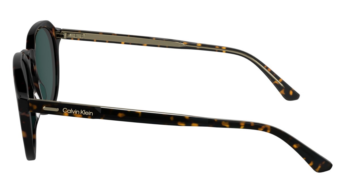 Sunglasses Calvin Klein CK24538S (235) color dark havana shape pantos lenses solid petrol