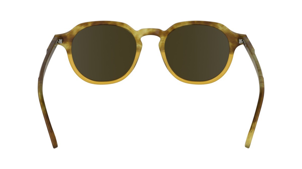 Sunglasses Calvin Klein CK24538S (255) color honey havana/honey shape pantos lenses solid dark caramel
