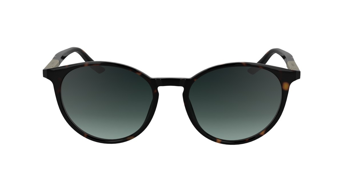 Sunglasses Calvin Klein CK24539S (235) color dark havana shape round lenses gradient petrol