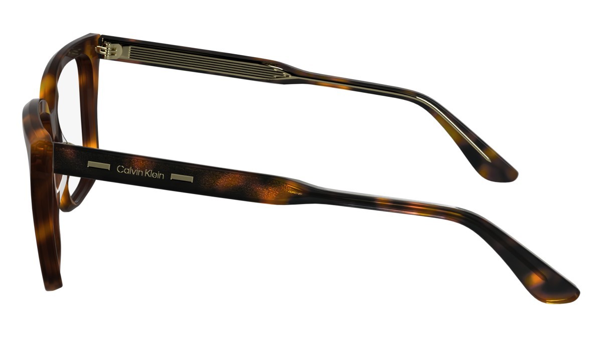 Brillen Calvin Klein CK24541 (240) farbe havana form rechteckig gläser color 2