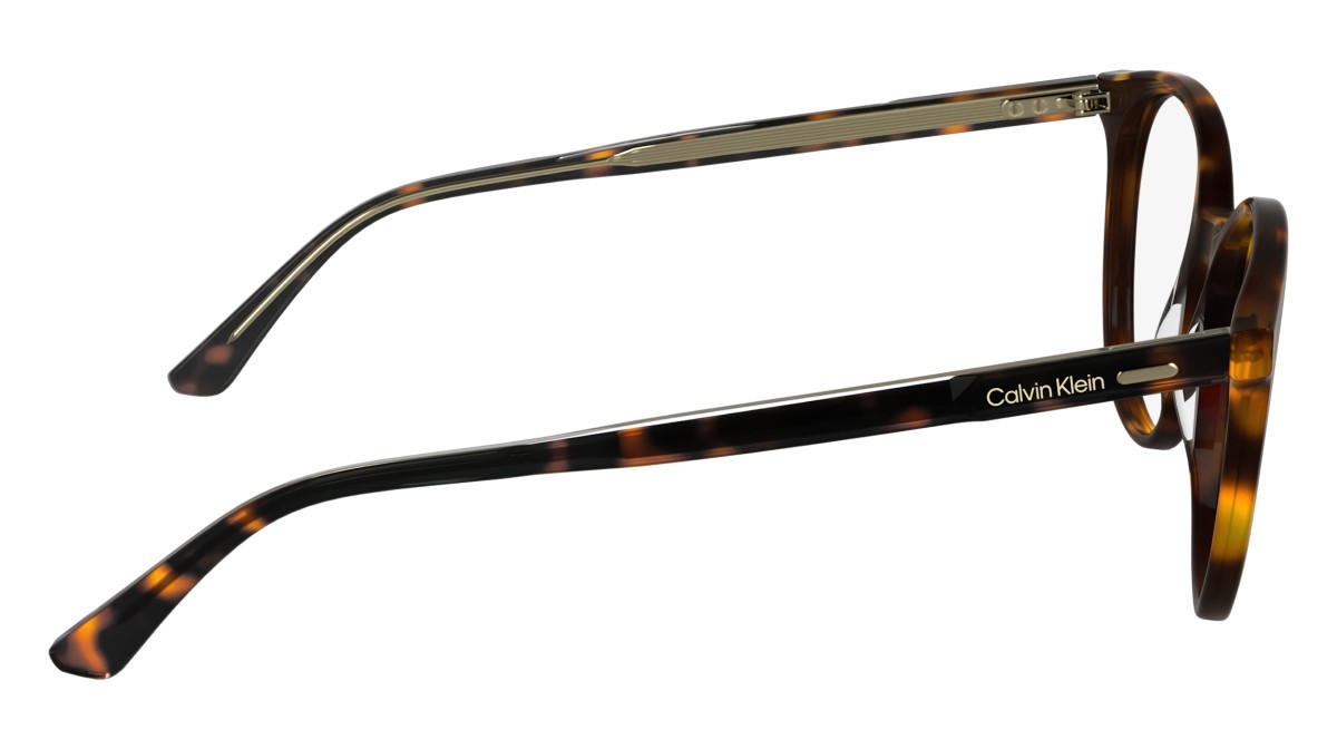 Brillen Calvin Klein CK24543 (240) farbe havana form rund gläser color 2