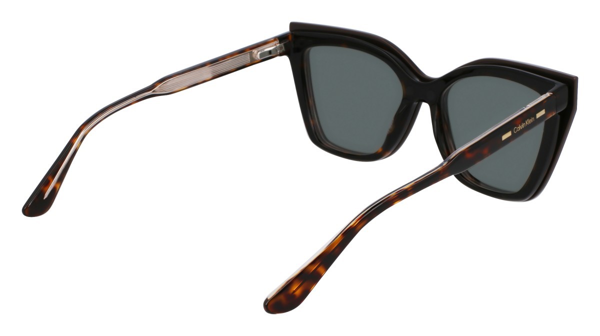 Eyeglasses Calvin Klein CK24550MAG-SET (206) color brown/havana shape butterfly lenses polar solid green