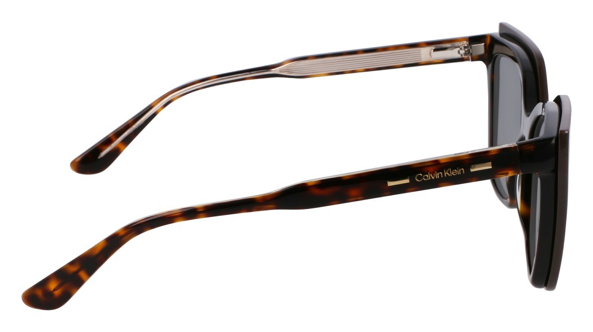 Eyeglasses Calvin Klein CK24550MAG-SET (206) color brown/havana shape butterfly lenses polar solid green