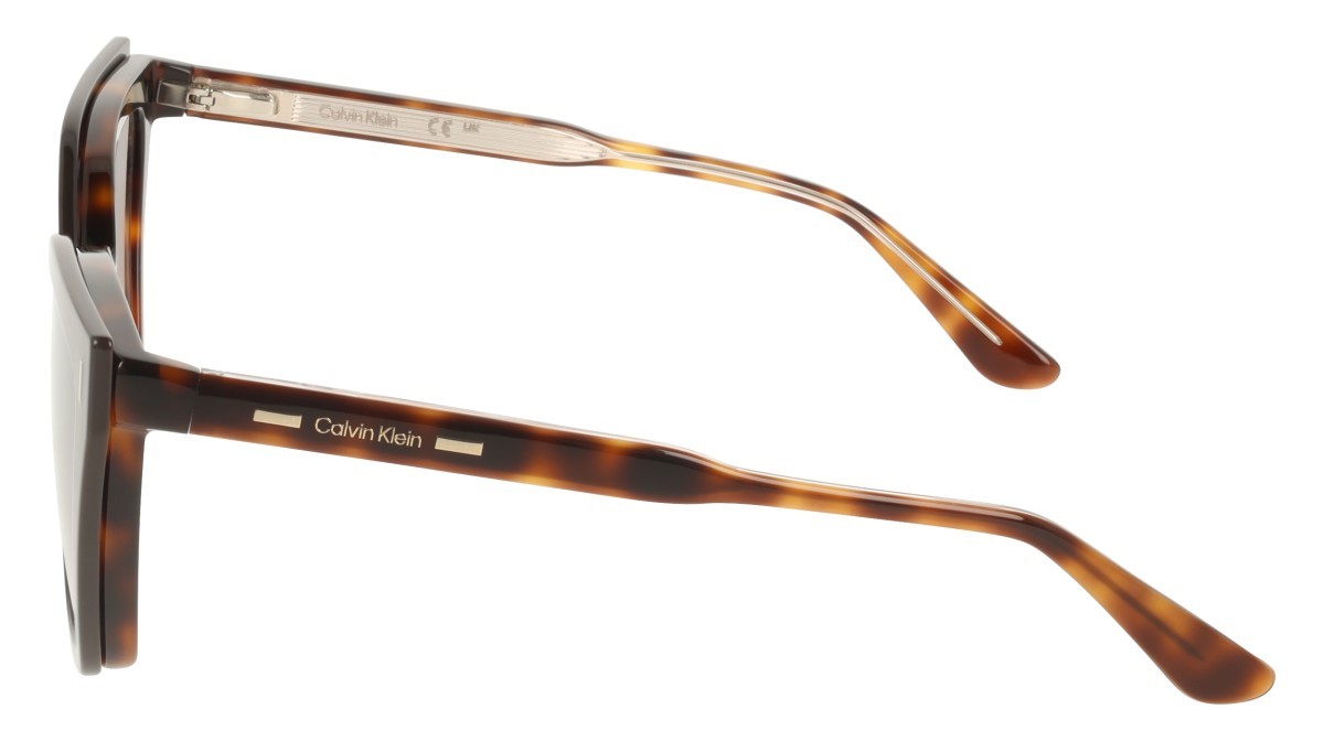 Eyeglasses Calvin Klein CK24550MAG-SET (242) color havana shape butterfly lenses green gradient