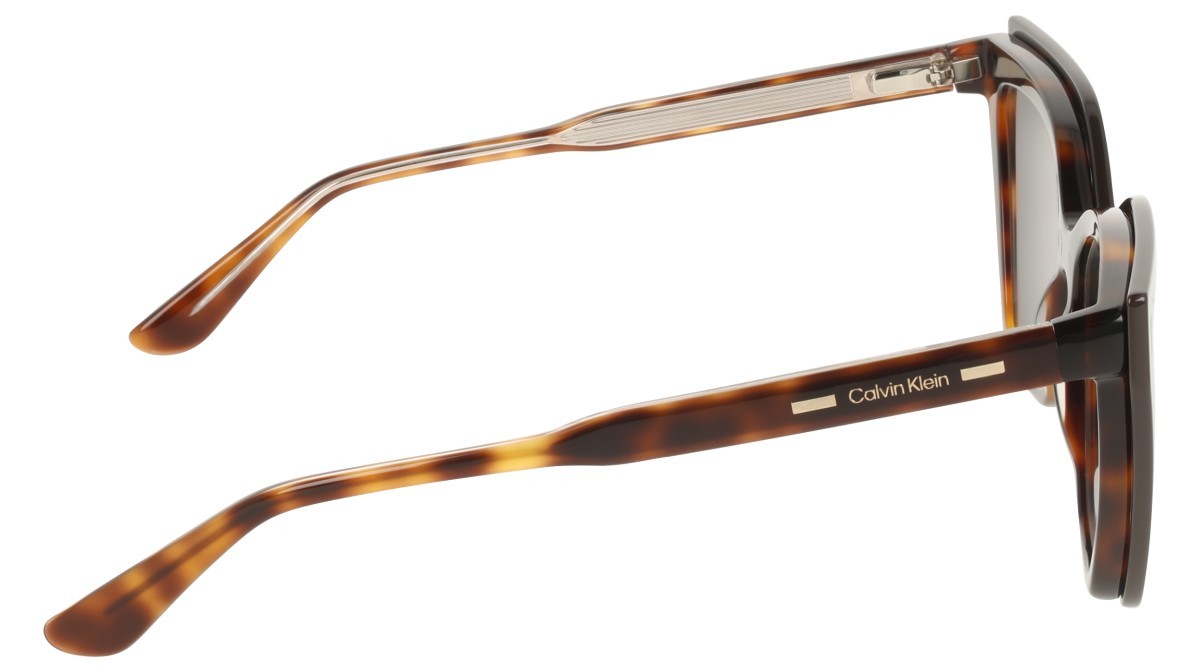 Eyeglasses Calvin Klein CK24550MAG-SET N (242) color havana shape butterfly 