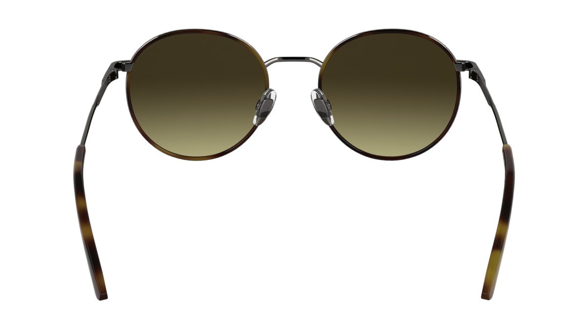 Sunglasses Calvin Klein CK25101S (240) color havana shape round lenses gradient brown