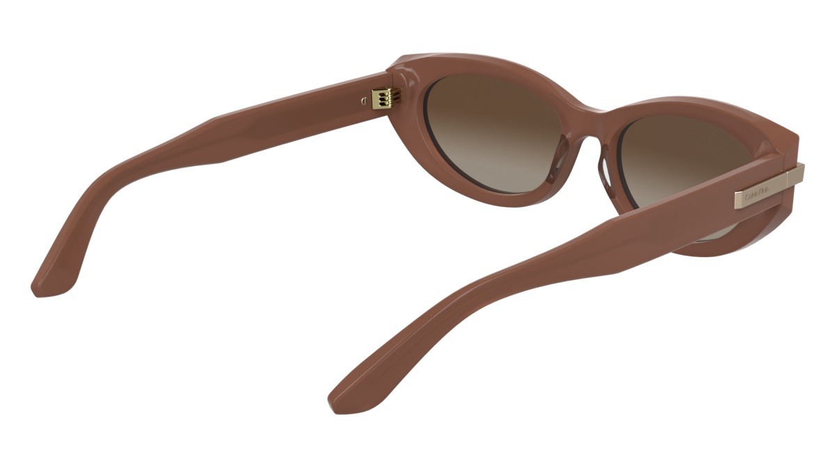 Sunglasses Calvin Klein CK25502S (601) color opaline rose shape cat eye lenses gradient brick