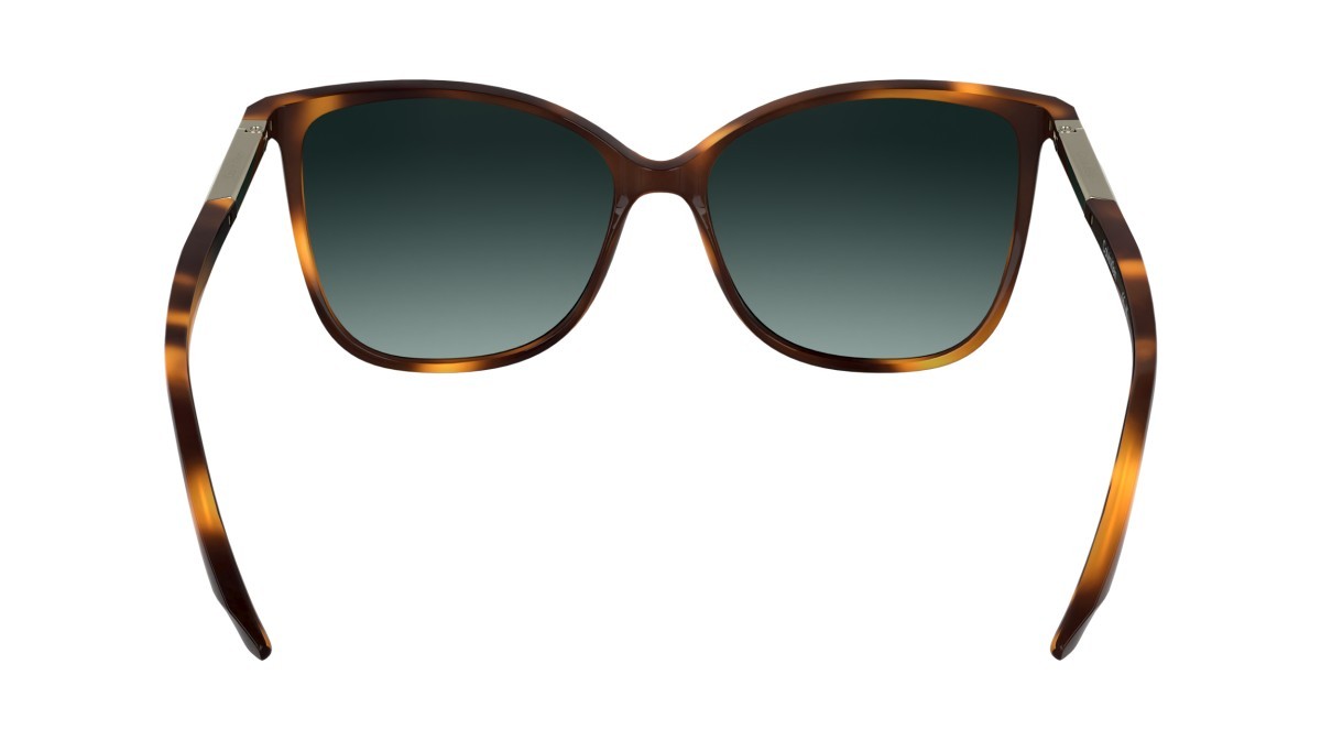 Sunglasses Calvin Klein CK25504S (240) color havana shape butterfly lenses gradient petrol