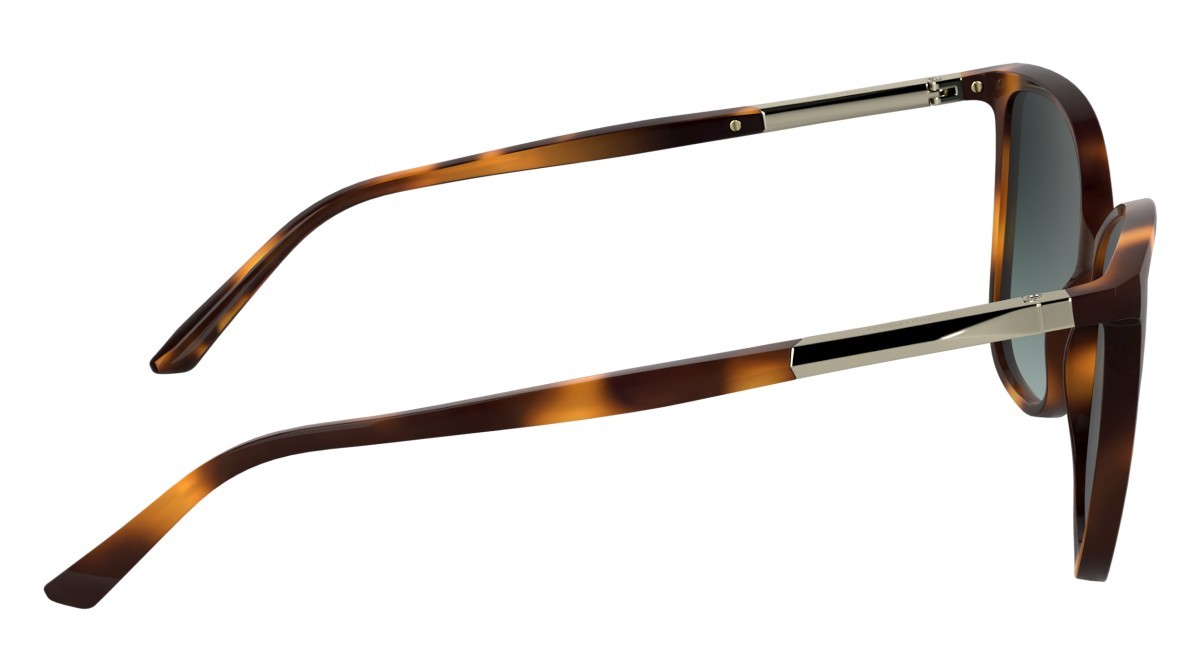 Sunglasses Calvin Klein CK25504S (240) color havana shape butterfly lenses gradient petrol