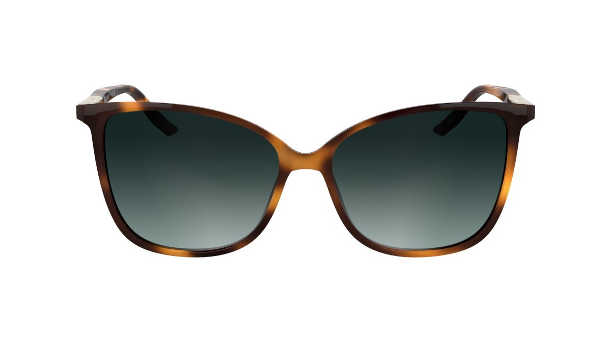 Sunglasses Calvin Klein CK25504S (240) color havana shape butterfly lenses gradient petrol