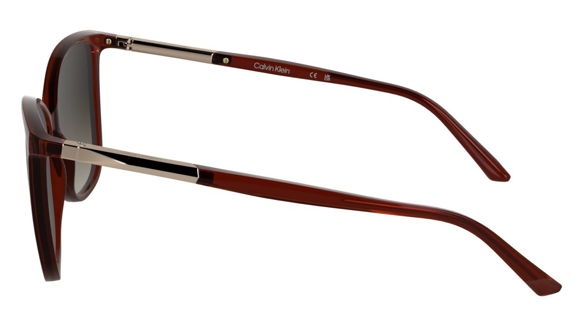Sunglasses Calvin Klein CK25504S (605) color transparent burgundy shape butterfly lenses gradient burgundy
