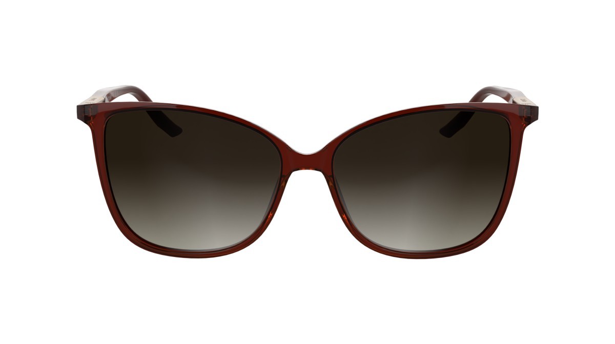 Sunglasses Calvin Klein CK25504S (605) color transparent burgundy shape butterfly lenses gradient burgundy