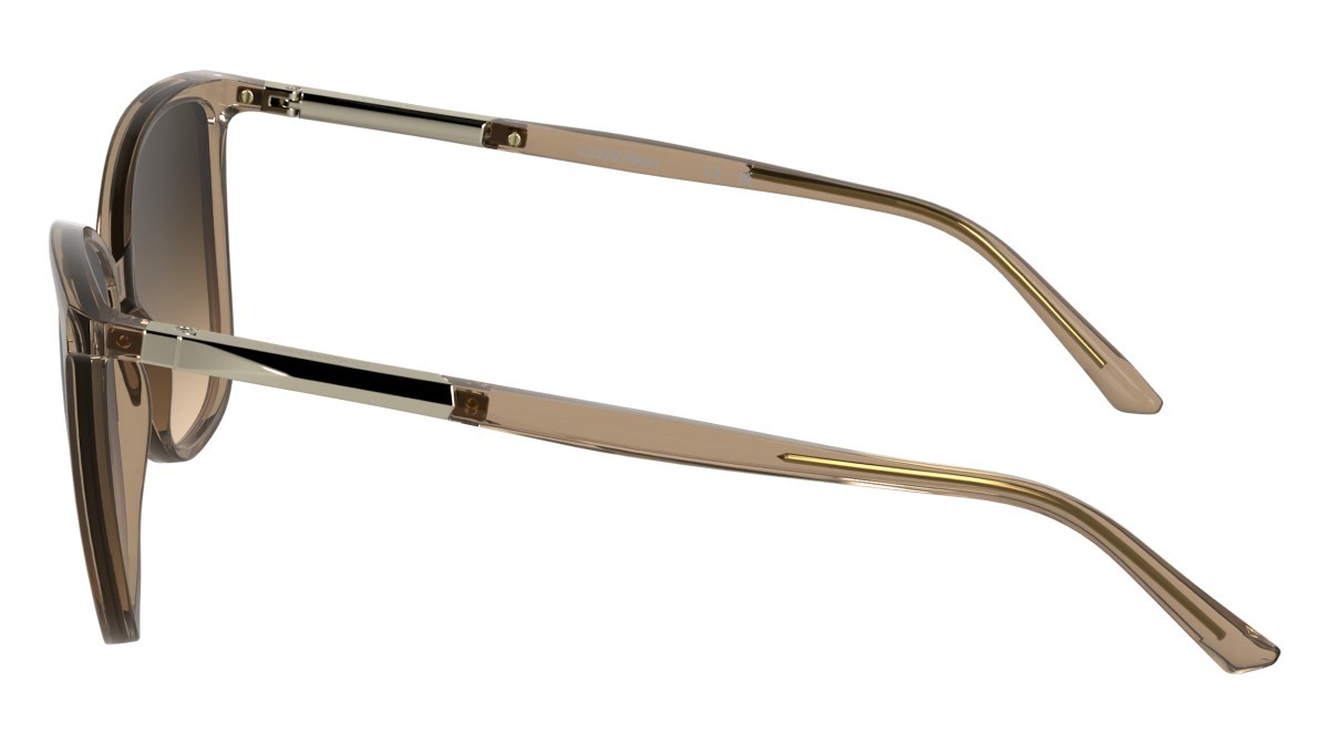 Sunglasses Calvin Klein CK25504S (618) color transparent brick shape butterfly lenses gradient brown