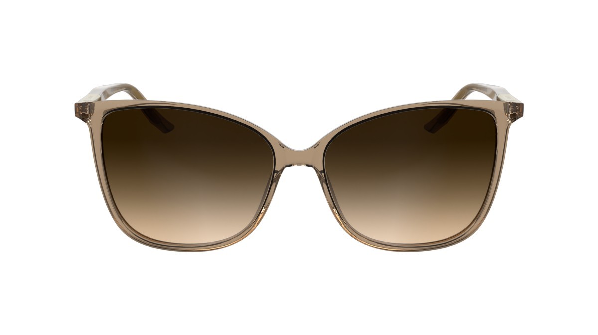 Sunglasses Calvin Klein CK25504S (618) color transparent brick shape butterfly lenses gradient brown