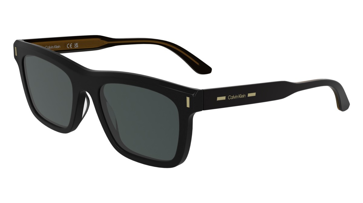Sunglasses Calvin Klein CK25506S (001) color black shape rectangle lenses grey