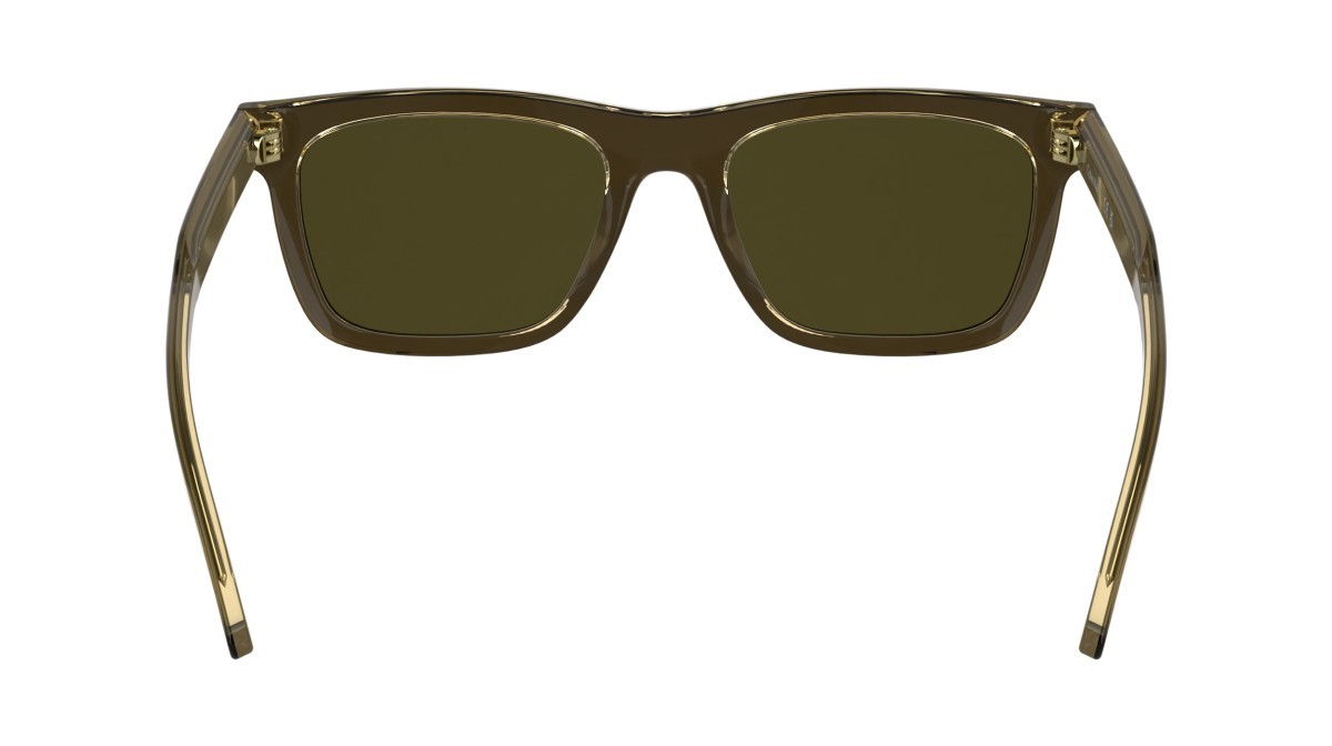 Sunglasses Calvin Klein CK25506S (200) color brown shape rectangle lenses solid brown