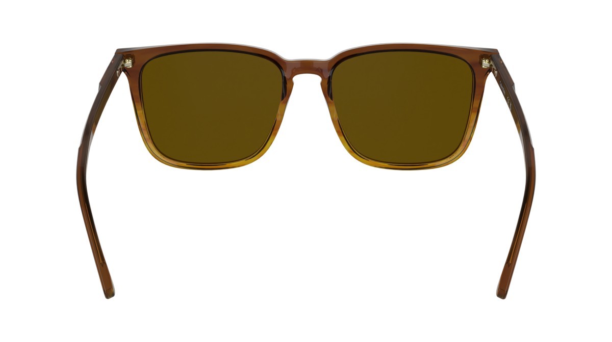 Sunglasses Calvin Klein CK25507S (203) color striped brown shape rectangle lenses solid brown