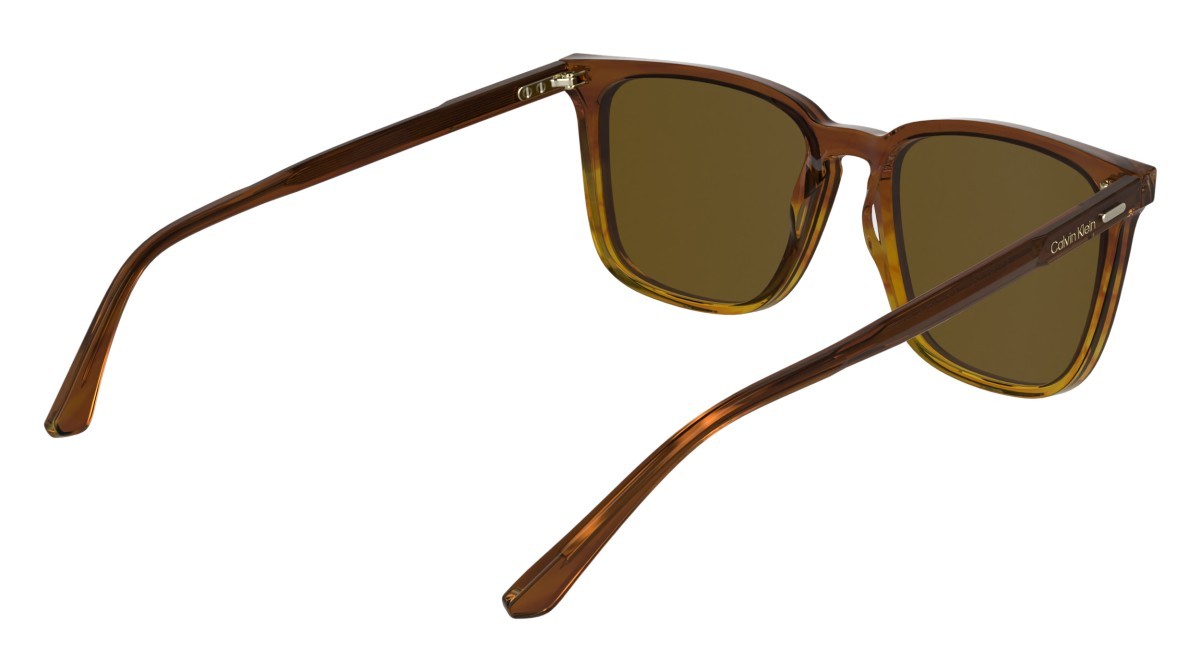 Sunglasses Calvin Klein CK25507S (203) color striped brown shape rectangle lenses solid brown