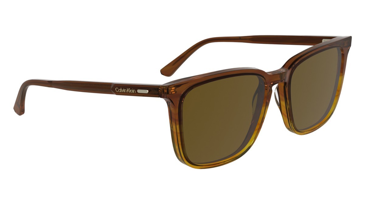 Sunglasses Calvin Klein CK25507S (203) color striped brown shape rectangle lenses solid brown