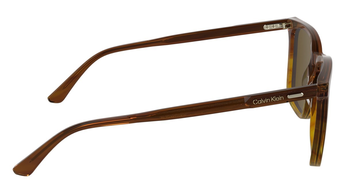 Sunglasses Calvin Klein CK25507S N (203) color striped brown shape rectangle 