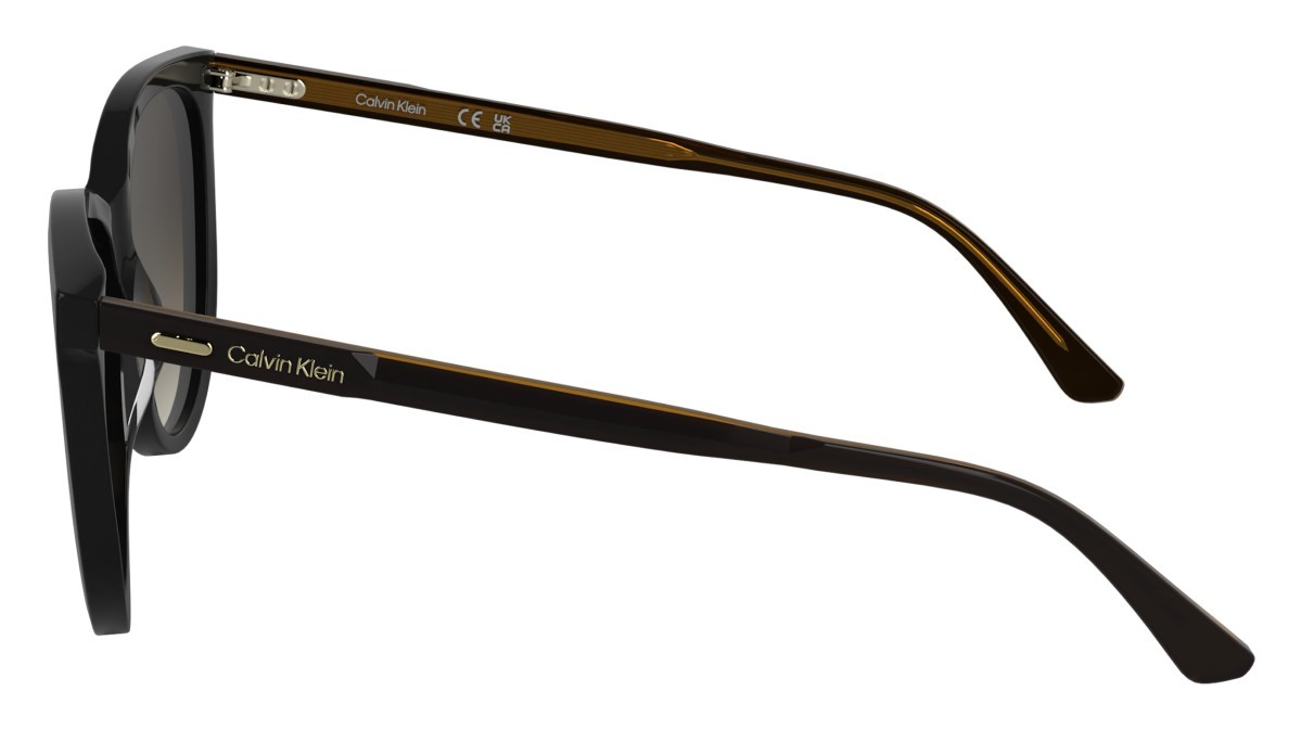 Sunglasses Calvin Klein CK25508S (001) color black shape butterfly lenses gradient brown