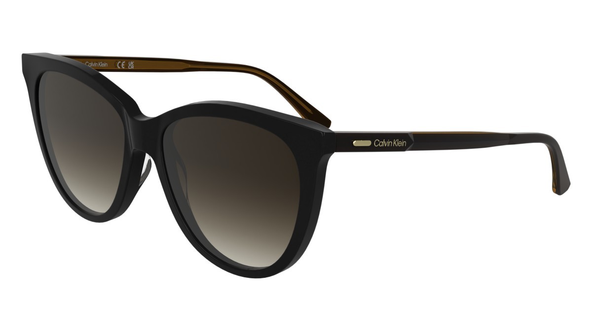 Sunglasses Calvin Klein CK25508S (001) color black shape butterfly lenses gradient brown
