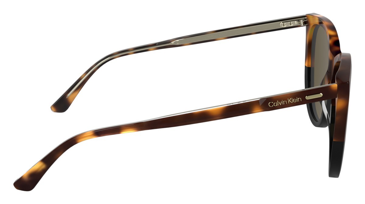 Sunglasses Calvin Klein CK25508S (233) color havana/black shape butterfly lenses brown