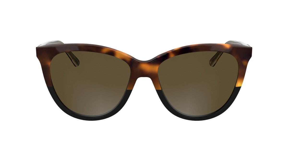 Sunglasses Calvin Klein CK25508S (233) color havana/black shape butterfly lenses brown