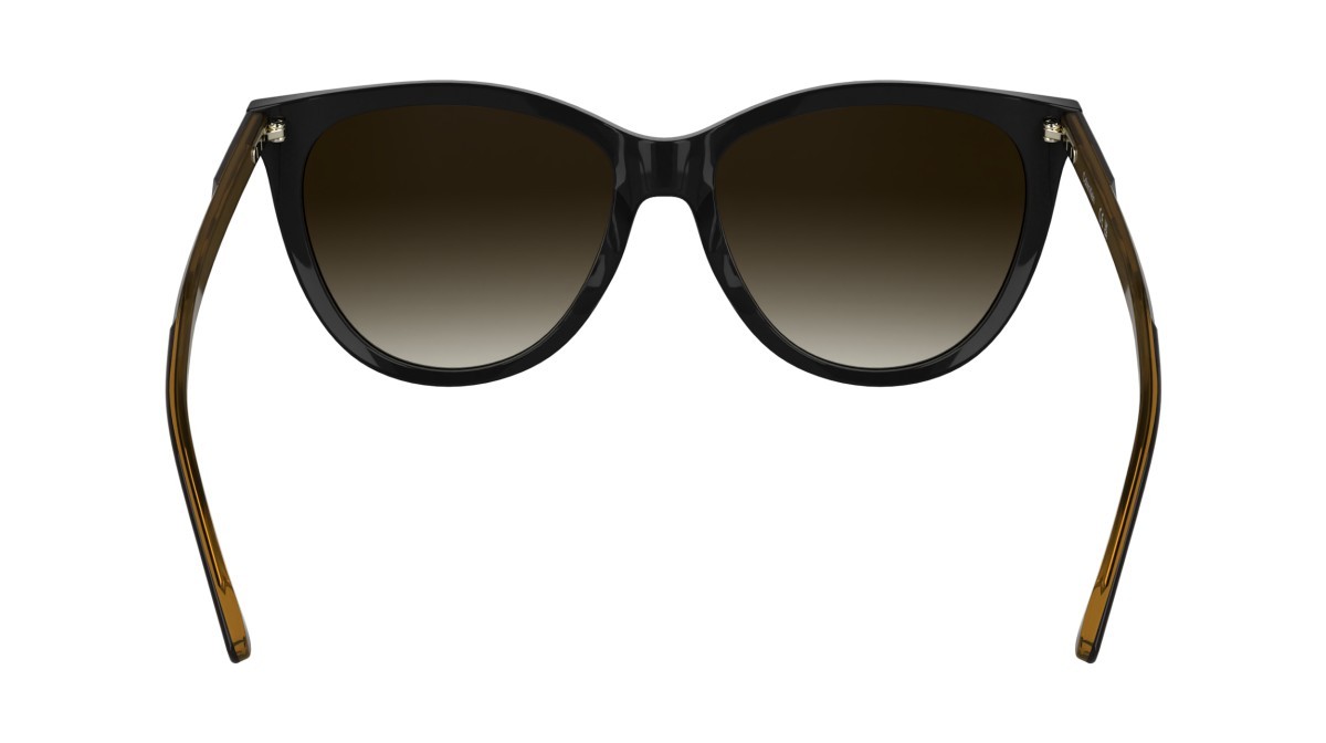 Sunglasses Calvin Klein CK25508S N (001) color black shape butterfly 
