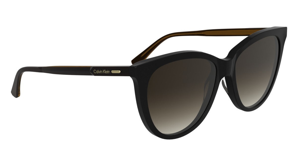 Sunglasses Calvin Klein CK25508S N (001) color black shape butterfly 