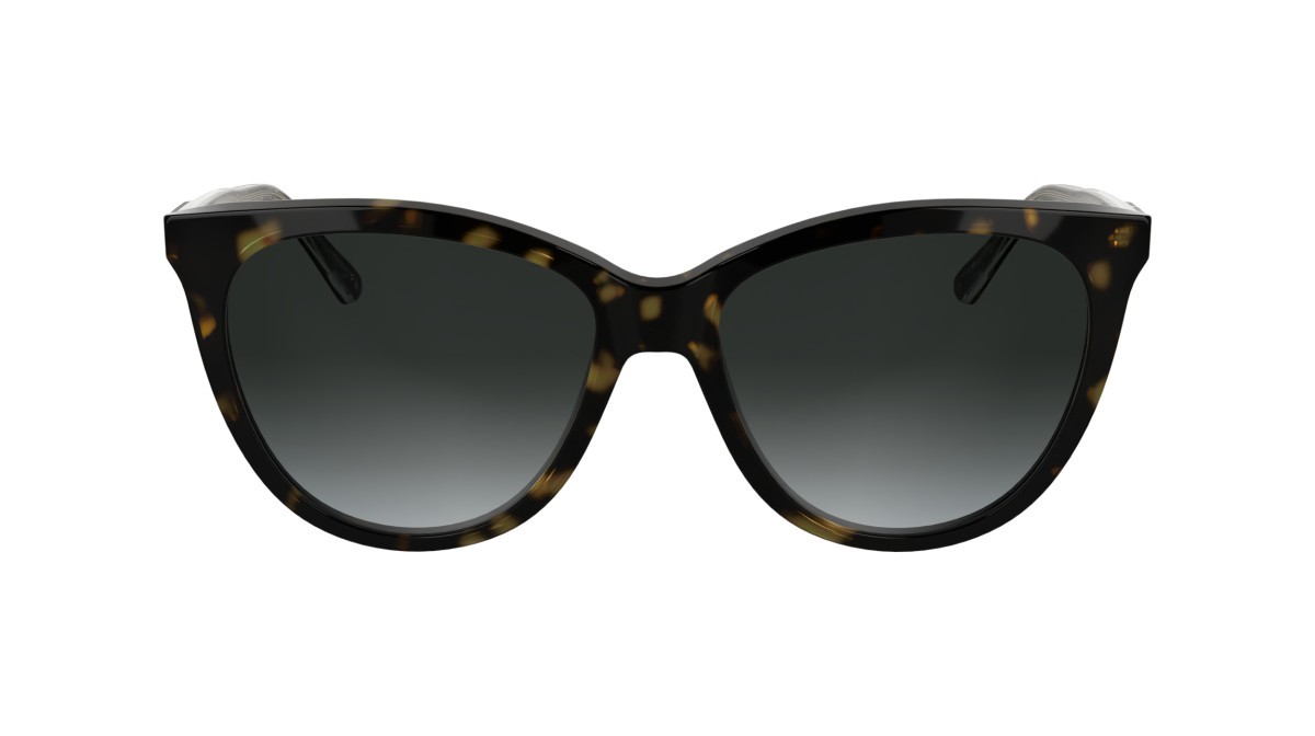 Sunglasses Calvin Klein CK25508S N (240) color havana shape butterfly 