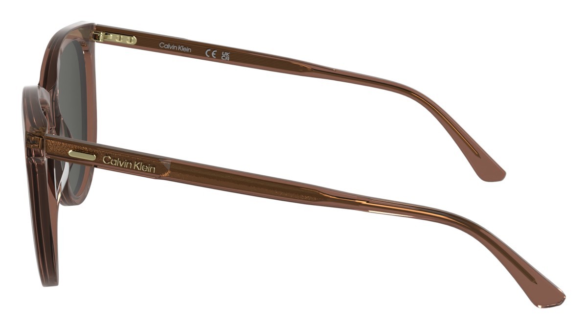 Sunglasses Calvin Klein CK25508S N (605) color burgundy shape butterfly 