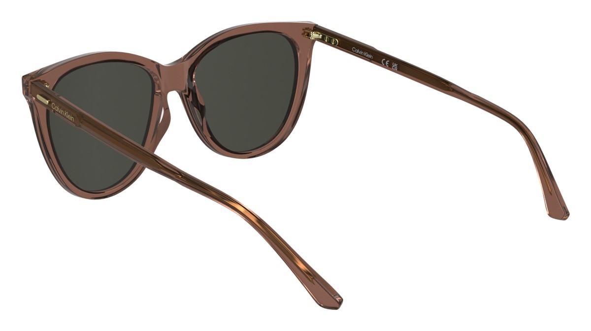 Sunglasses Calvin Klein CK25508S N (605) color burgundy shape butterfly 