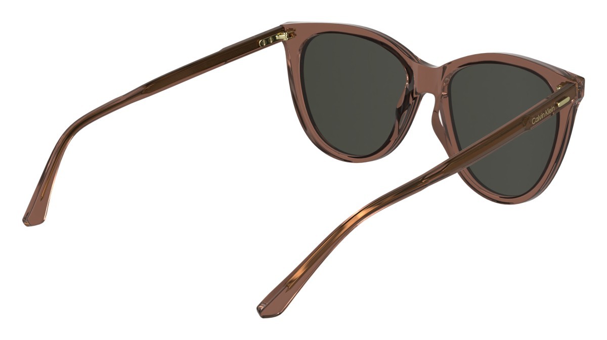 Sunglasses Calvin Klein CK25508S N (605) color burgundy shape butterfly 